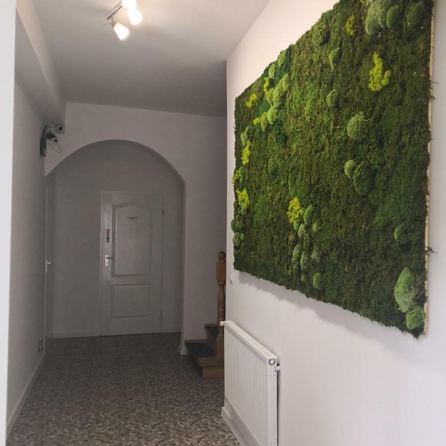 Las Dwa Trzy Ośno Lubuskie Exterior foto